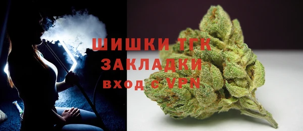 PSILOCYBIN Инта