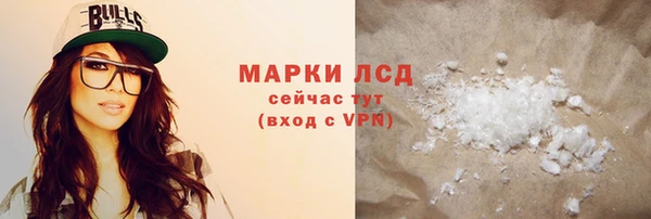 PSILOCYBIN Инта