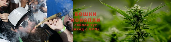 Альфа ПВП Инсар