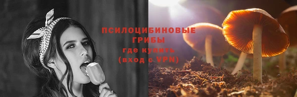 PSILOCYBIN Инта