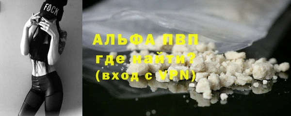 Альфа ПВП Инсар