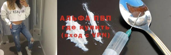 Альфа ПВП Инсар