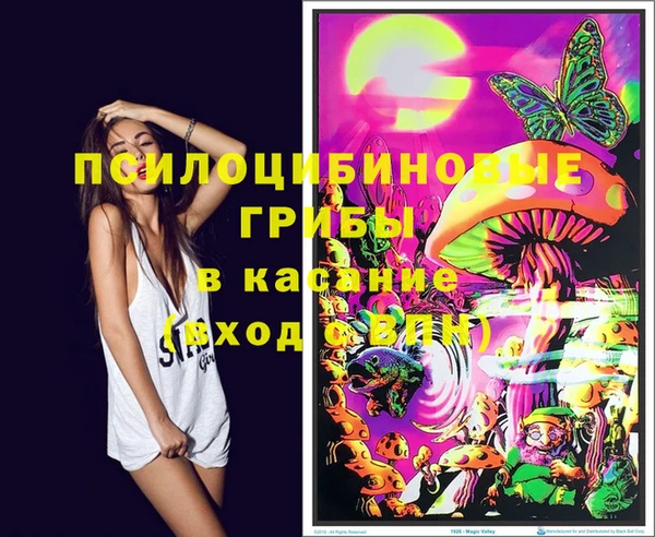 Альфа ПВП Инсар