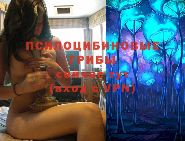 синтетический гашиш Каменногорск