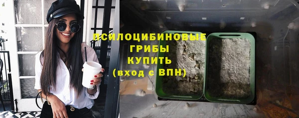 PSILOCYBIN Инта